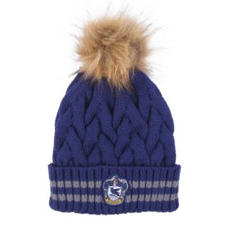 Harry Potter Ravenclaw hat