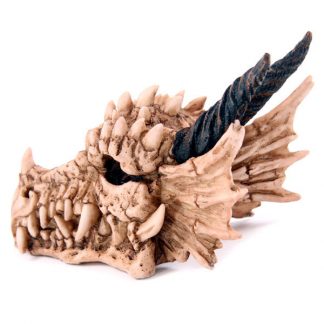 Dragon Skull money box
