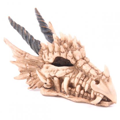 Dragon Skull money box - Image 3